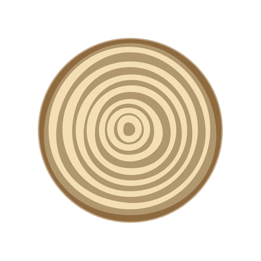 The Rings Of Time